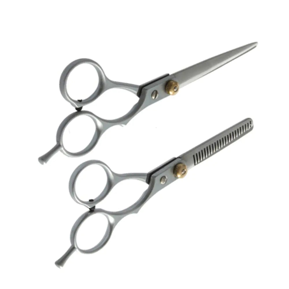2 Professional Hair Cutting Shears for Stylists